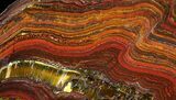 Polished Tiger Iron Stromatolite - ( Billion Years) #65329-1